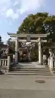 八雲神社(緑町)の鳥居