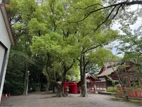 津島神社(愛知県)