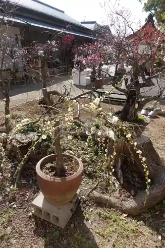 菅原天満宮（菅原神社）(奈良県)