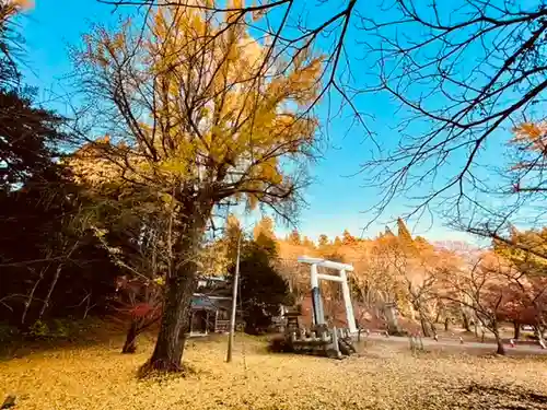 土津神社｜こどもと出世の神さまの景色