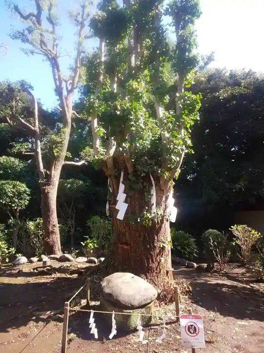 江島神社のその他建物