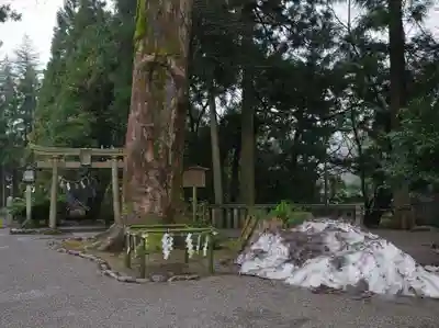 白山比咩神社のその他建物