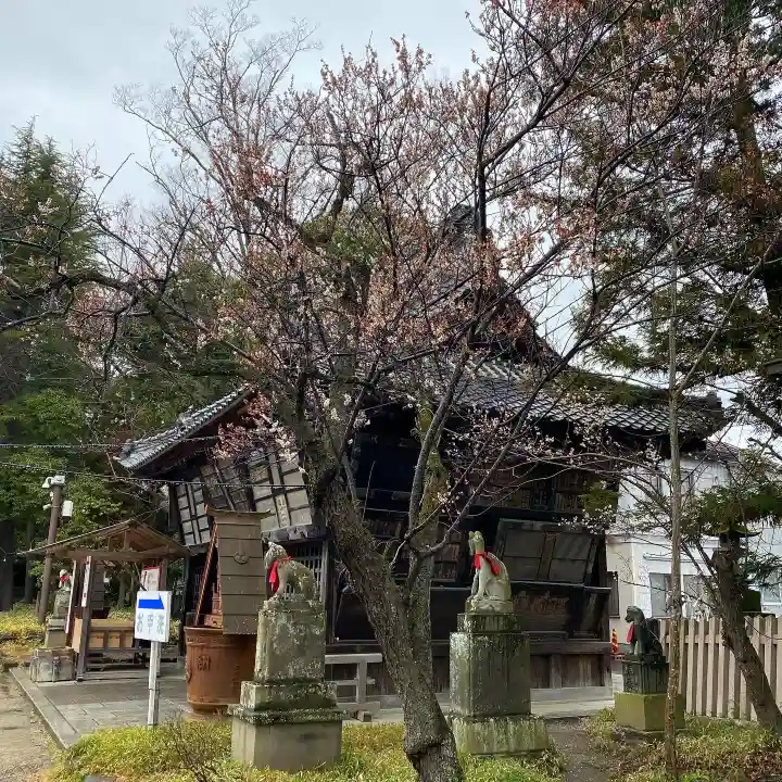 笠間稲荷神社の自然