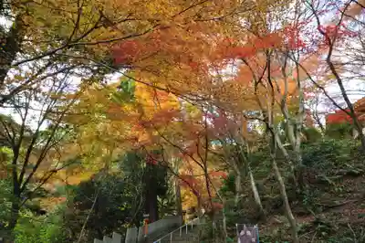 西山興隆寺(愛媛県)