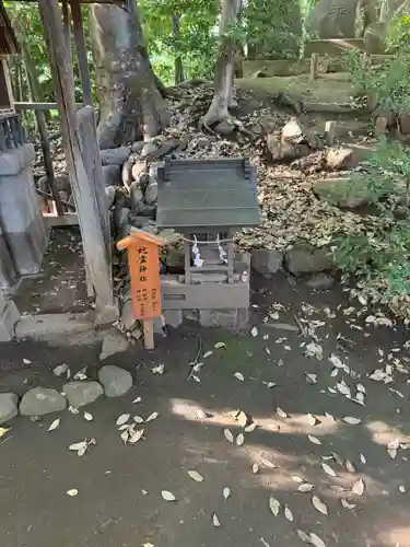 川越氷川神社(埼玉県)
