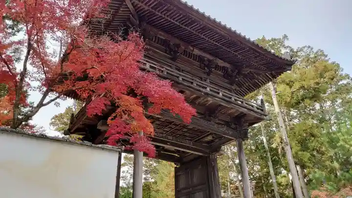 井山 宝福寺(岡山県)