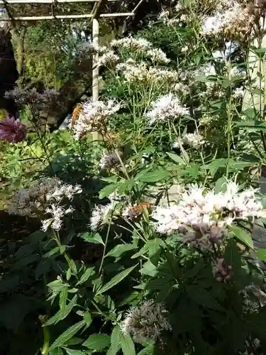 上野東照宮の庭園