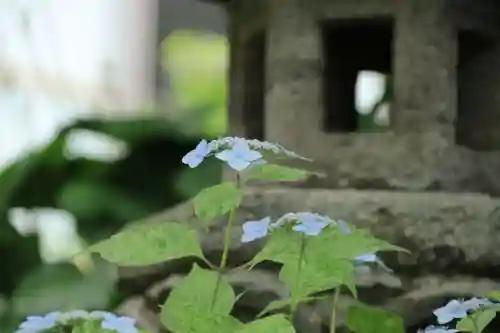 長命寺の庭園