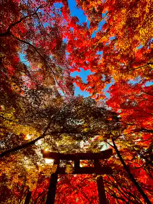 宝満宮竈門神社(福岡県)