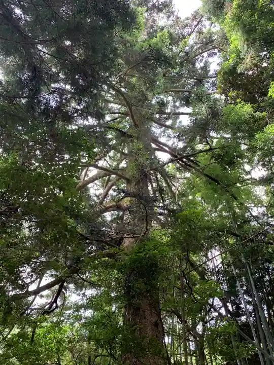 熊野神社(千葉県)