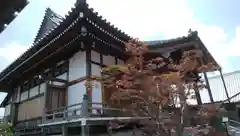 念仏寺の本殿