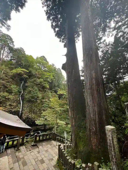 榛名神社(群馬県)