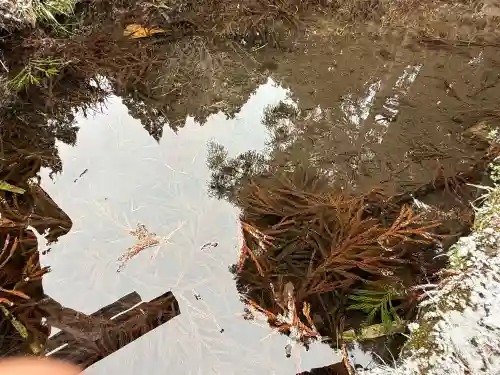 御礼神社の{uncategorized: "未分類", other: "その他", undefined: "問題あり", building: "その他建物", grave: "お墓", sacred_gate: "鳥居", guardian: "狛犬", statue: "像", buddha: "仏像", history: "歴史", nature: "自然", garden: "庭園", animal: "動物", pagoda: "塔", temizu: "手水舎", mountain_gate: "山門・神門", sanctuary: "本殿・本堂", subordinate: "末社・摂社", art: "芸術", scenery: "景色", jizo: "地蔵", ema: "絵馬", goshuin: "御朱印", omikuji: "おみくじ", items: "授与品その他", amulet: "お守り", goshuincho: "御朱印帳", eats: "食事", festival: "お祭り", votive_dance: "神楽", shichigosan: "七五三参", wedding: "結婚式", experience: "体験その他", initially: "初詣", around: "周辺", anti_infection: "感染症対策"}
