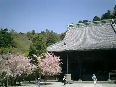 妙本寺の本殿・本堂