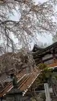 松ヶ崎大黒天 妙圓寺(妙円寺)(京都府)