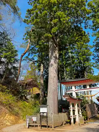 達谷西光寺の自然