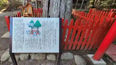 涼ケ岡八幡神社の歴史