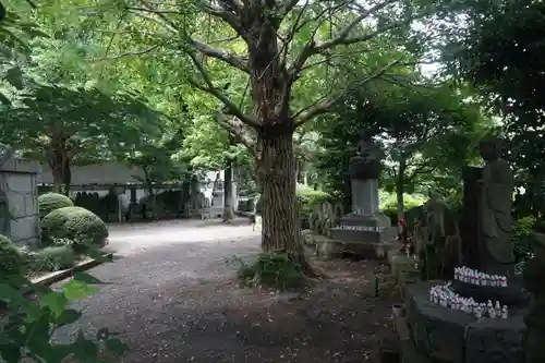 乗蓮寺のその他建物
