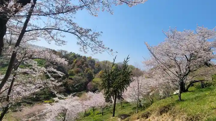 木野山神社(愛媛県)