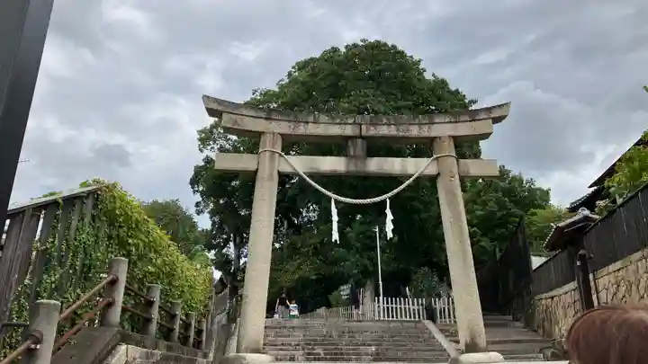 阿智神社の鳥居