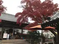 法輪寺の本殿