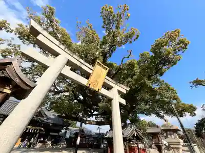 百舌鳥八幡宮(大阪府)