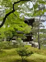 慈照寺(慈照禅寺・銀閣寺)(京都府)