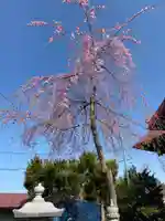 大鏑神社の自然