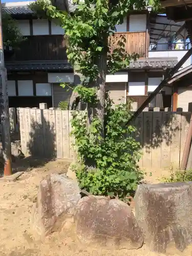 波多神社の自然