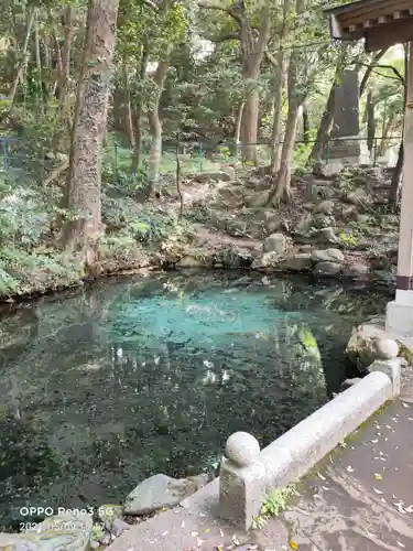 泉神社の自然