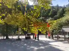 丹生川上神社（中社）(奈良県)