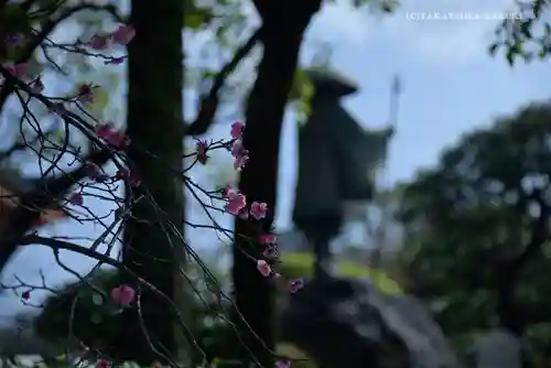 川崎大師（平間寺）の自然