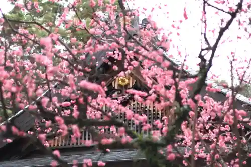 枚岡神社(大阪府)