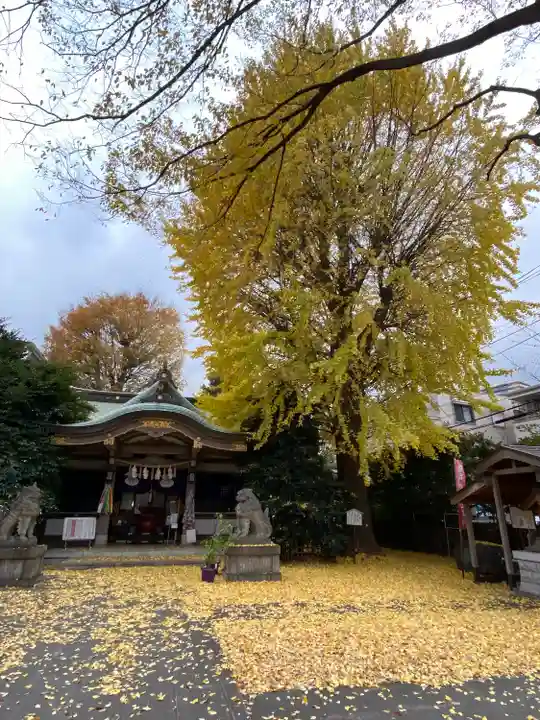 大鳥神社(東京都)
