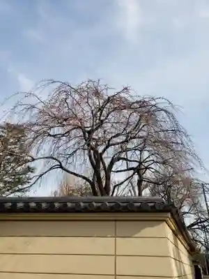 寛永寺(根本中堂)(東京都)