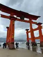 厳島神社の{uncategorized: "未分類", other: "その他", undefined: "問題あり", building: "その他建物", grave: "お墓", sacred_gate: "鳥居", guardian: "狛犬", statue: "像", buddha: "仏像", history: "歴史", nature: "自然", garden: "庭園", animal: "動物", pagoda: "塔", temizu: "手水舎", mountain_gate: "山門・神門", sanctuary: "本殿・本堂", subordinate: "末社・摂社", art: "芸術", scenery: "景色", jizo: "地蔵", ema: "絵馬", goshuin: "御朱印", omikuji: "おみくじ", items: "授与品その他", amulet: "お守り", goshuincho: "御朱印帳", eats: "食事", festival: "お祭り", votive_dance: "神楽", shichigosan: "七五三参", wedding: "結婚式", experience: "体験その他", initially: "初詣", around: "周辺", anti_infection: "感染症対策"}