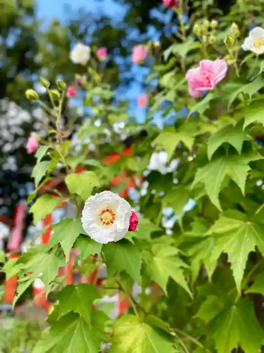 源九郎稲荷神社(奈良県)