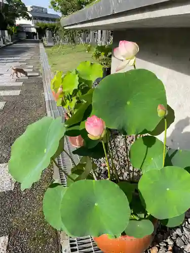 伊勢の国 四天王寺の自然