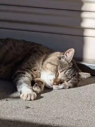 白金氷川神社(東京都)