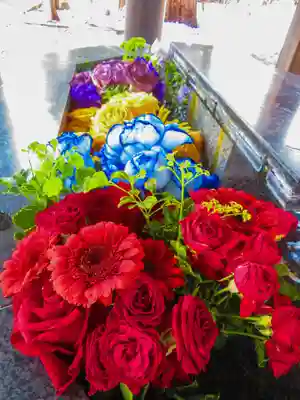 新琴似神社(北海道)