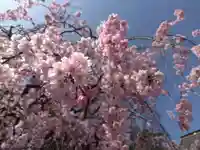 浄得寺(福井県)