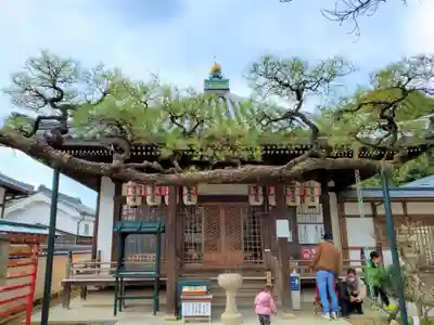 観音院の本殿・本堂