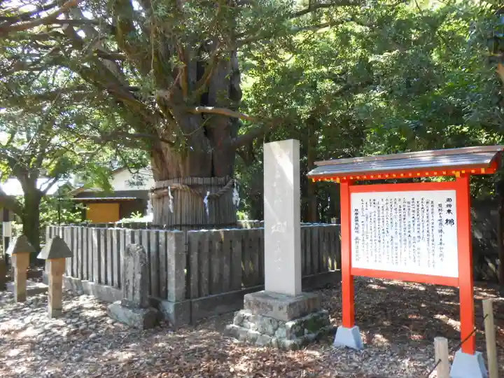 熊野速玉大社(和歌山県)