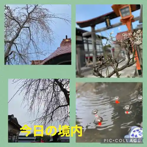 大鏑神社のその他建物