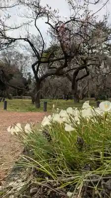 半木神社（賀茂別雷神社境外末社）(京都府)
