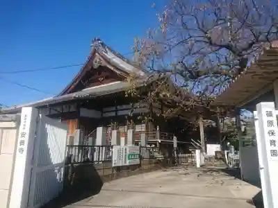 安養寺のその他建物