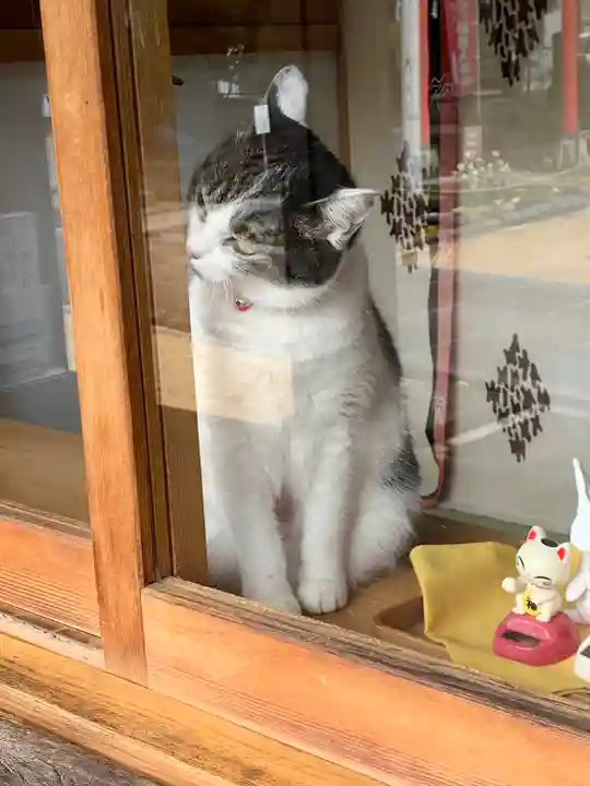 上中居諏訪神社(群馬県)