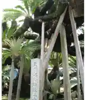 能満寺(静岡県)