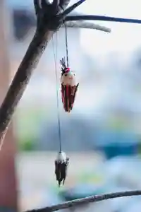 浄土寺(兵庫県)(2024年12月22日(日) 08時31分46秒投稿)