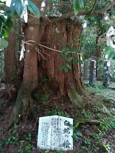 国造神社(熊本県)